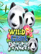 ทำความรู้จัก slot demo roma เกมสล็อตสุดฮิต